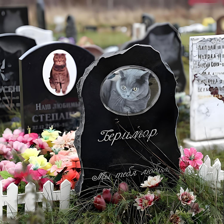 Quali opzioni di personalizzazione elevano le targhe commemorative per animali domestici oltre i nomi di base?
