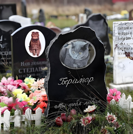 Perché dovremmo considerare un memoriale per animali domestici?