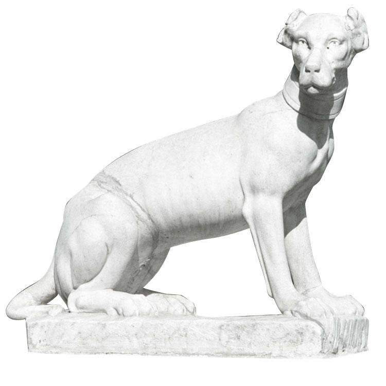 Cane statua animale in marmo